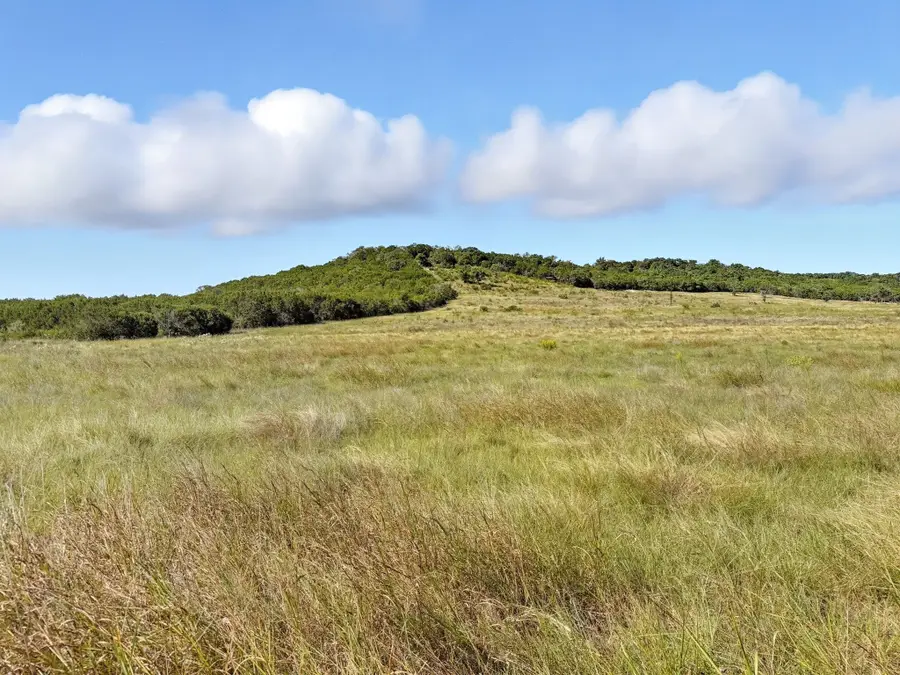 6902 Fm 1690, Gatesville, TX 76528 - Image #2