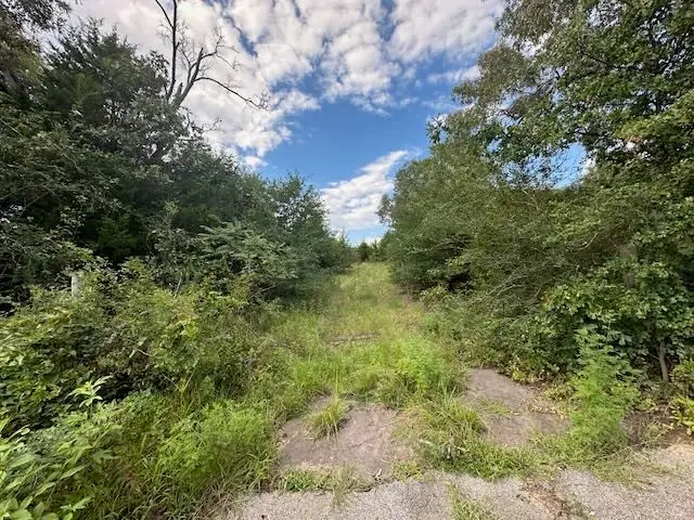 TBD Vz Cr 1823, Grand Saline, TX 75140 - Image #1