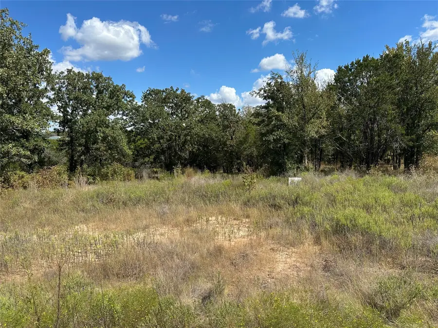 1020 Rose Court, Nemo, TX 76070 - Image #3