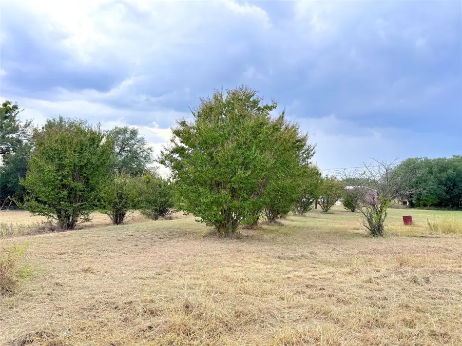 4701 Albatross Drive, Granbury, TX 76049 - Image #3