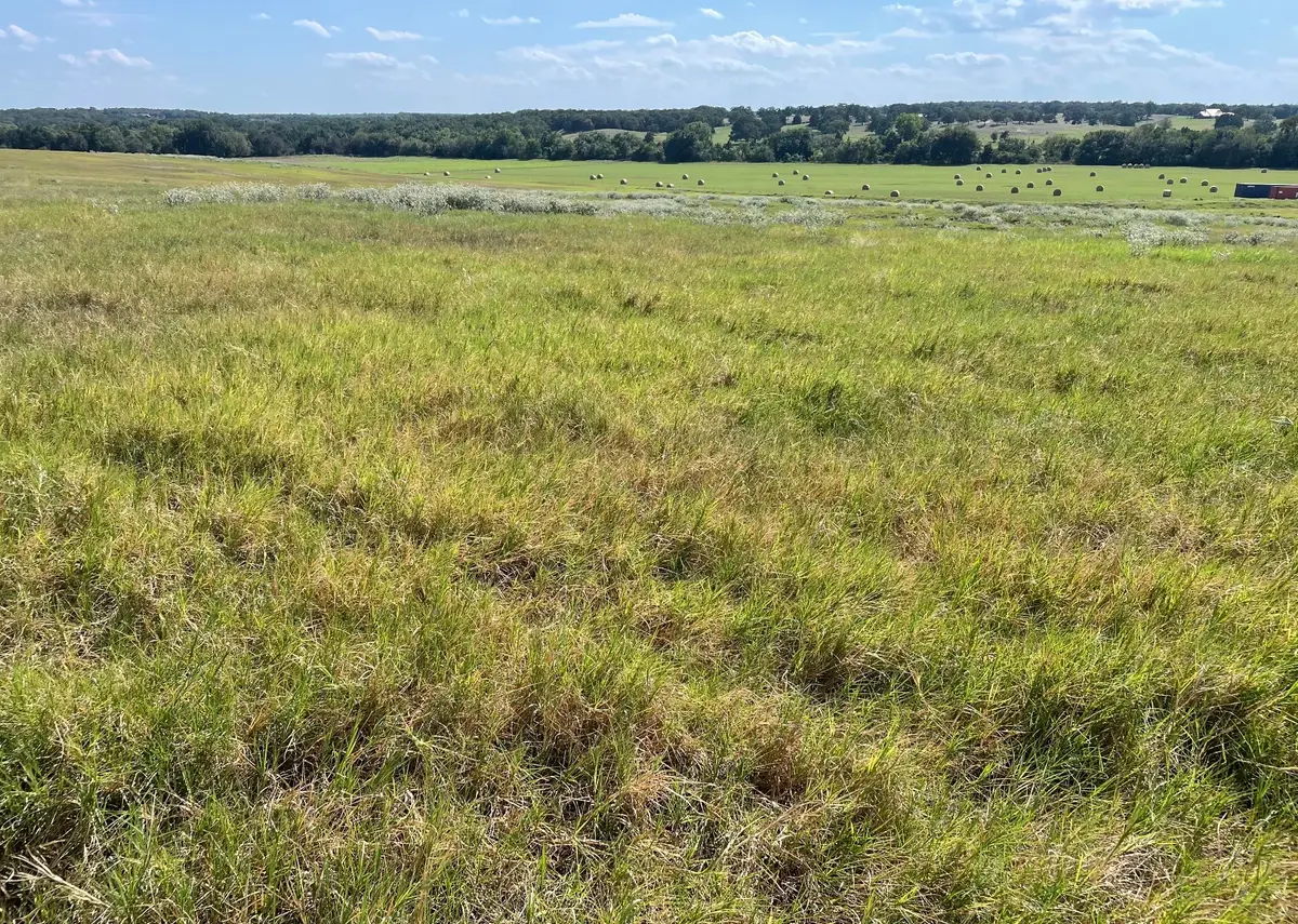 3688 N Fm 1655, Alvord, TX 76225 - Image #1