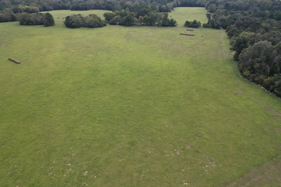 TBD-A County Road 435, Frankston, TX 75763 - #3