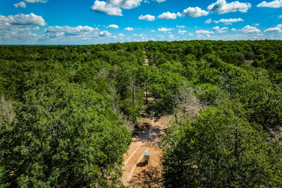 511 (+/-169ac) Lcr 793, Groesbeck, TX 76642 - Image #1