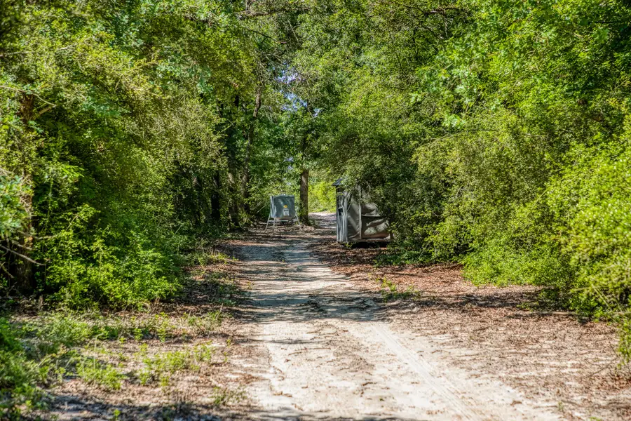 511 (+/-169ac) Lcr 793, Groesbeck, TX 76642 - Image #2