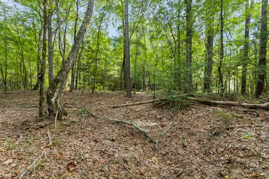 TBD County Road 2993, 28 Ac, Hughes Springs, TX 75656 - Image #3