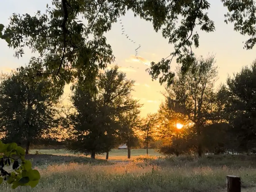 244 Longhorn Trail, Royse City, TX 75189 - Image #3