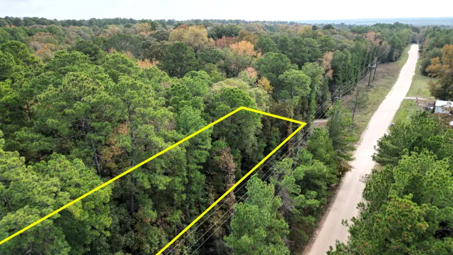 375 Rock Creek Drive, Trinity, TX 75862 - Image #3