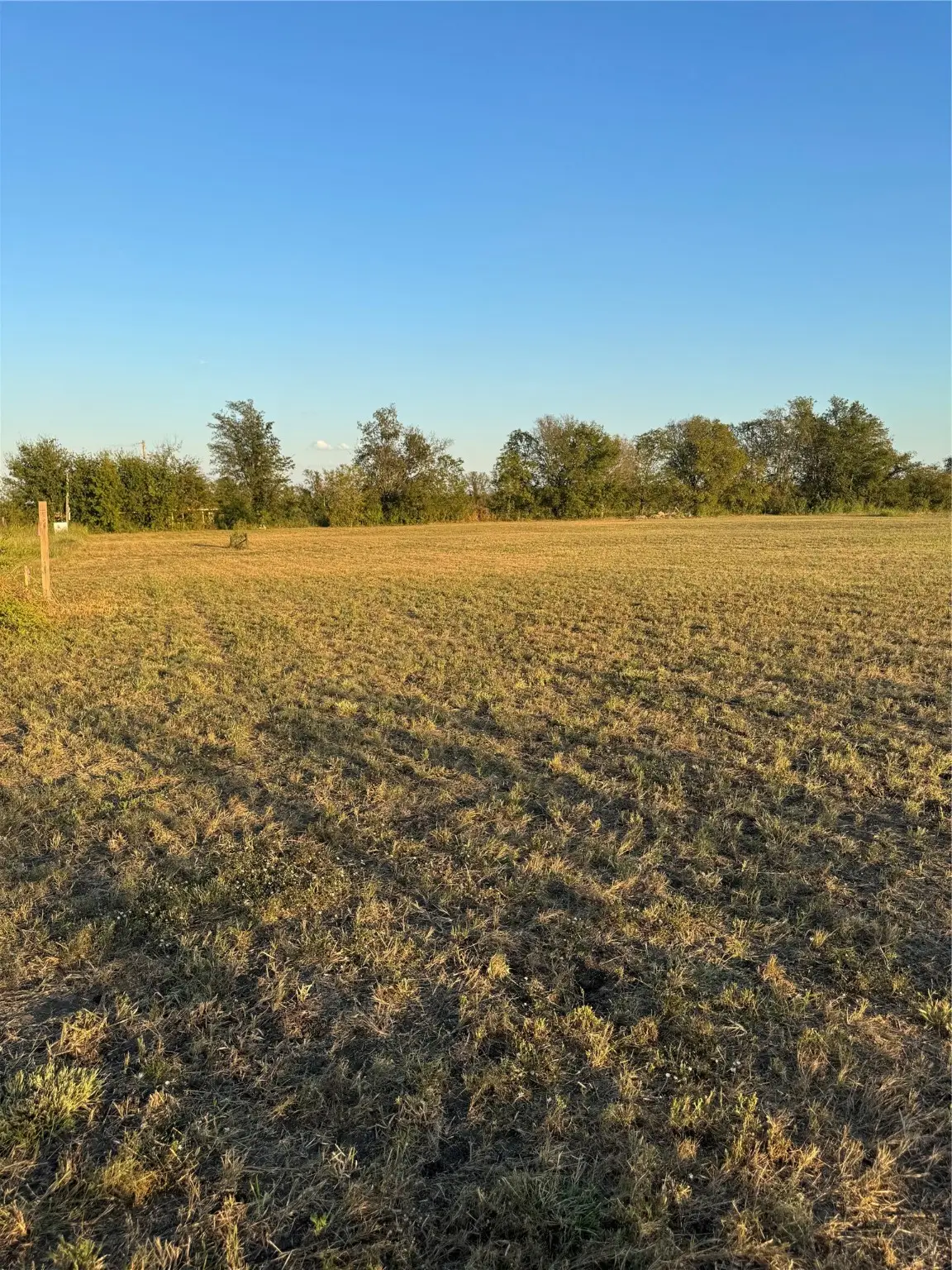 TBD 2.038 Acres Mardell Lane, Howe, TX 75459 - #1