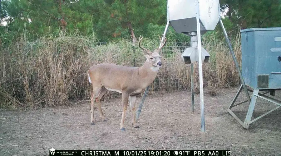 3564 Midway Loop E, Livingston, TX 77351 - #2