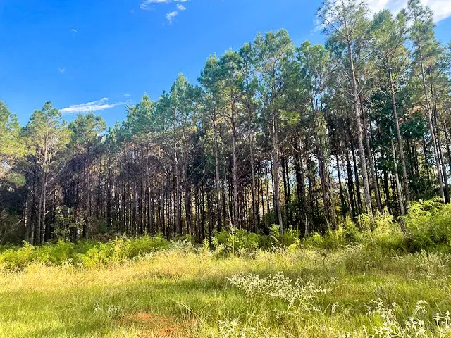 3564 Midway Loop E, Livingston, TX 77351 - #3