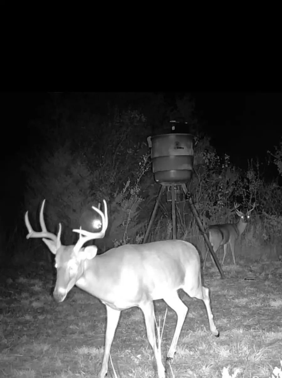 13762 SW Fm 639, Barry, TX 75102 - Image #3