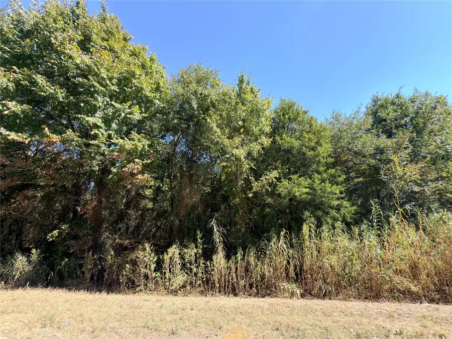 7.5 Acres S Fairway, Fairfield, TX 75840 - Image #2