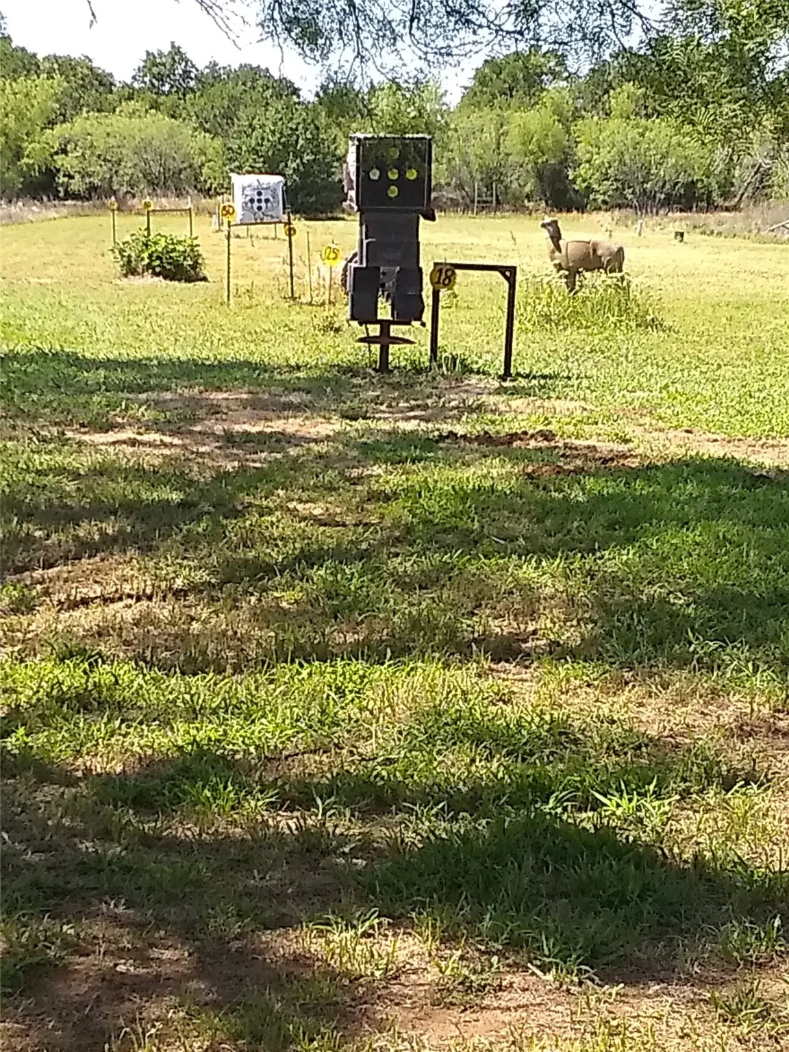 1800 County Road 479, Gorman, TX 76454 - Image #1