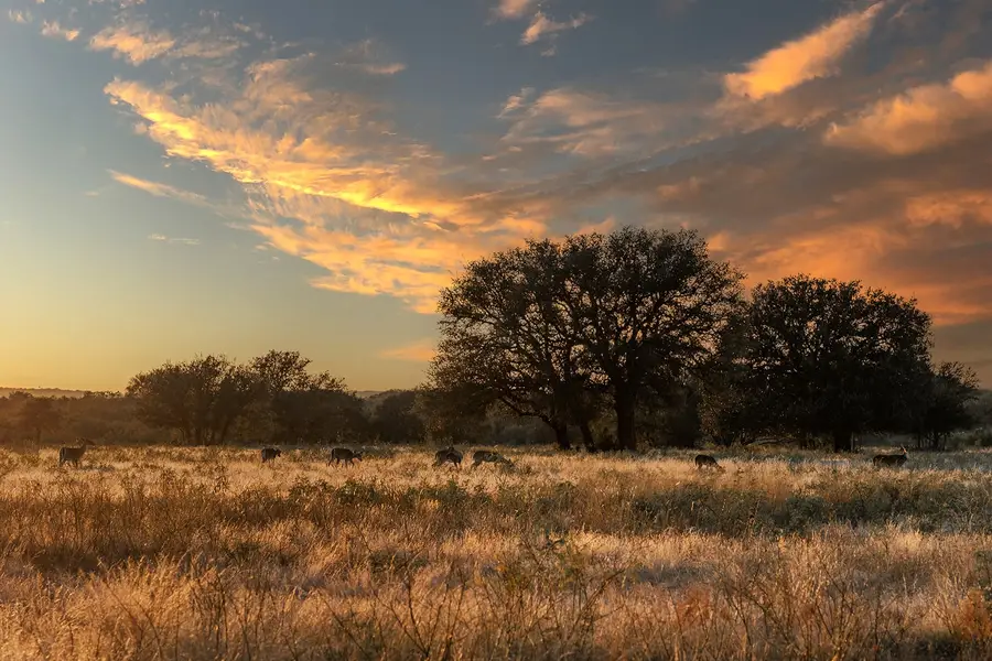 302 N Shore Drive, Brady, TX 76825 - Image #2