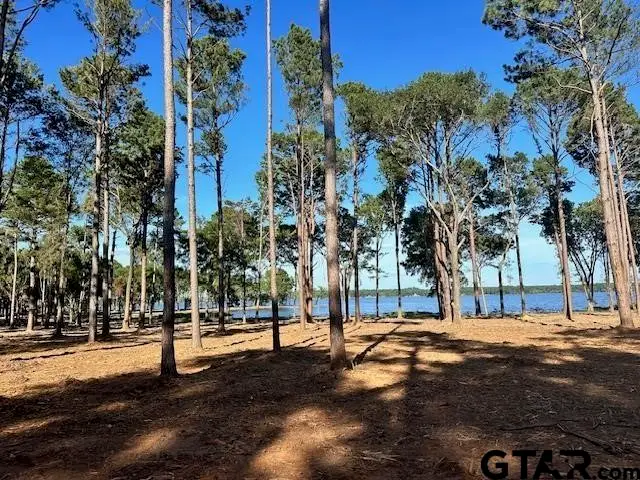 Lot 1 Oak River, Frankston, TX 75763 - Image #3