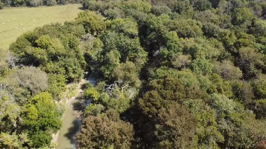 Tbd Sw Cr 3160, Dawson, TX 76639 - Image #3