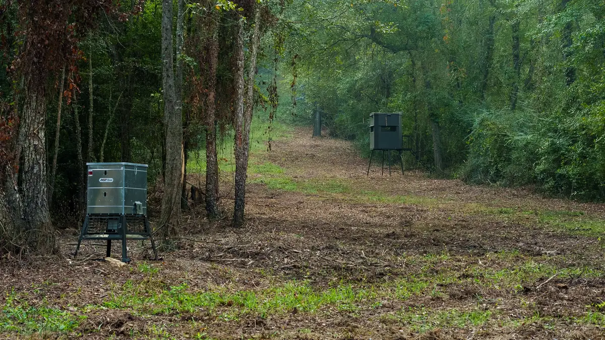 TBD C R 354, Winona, TX 75792 - Image #1