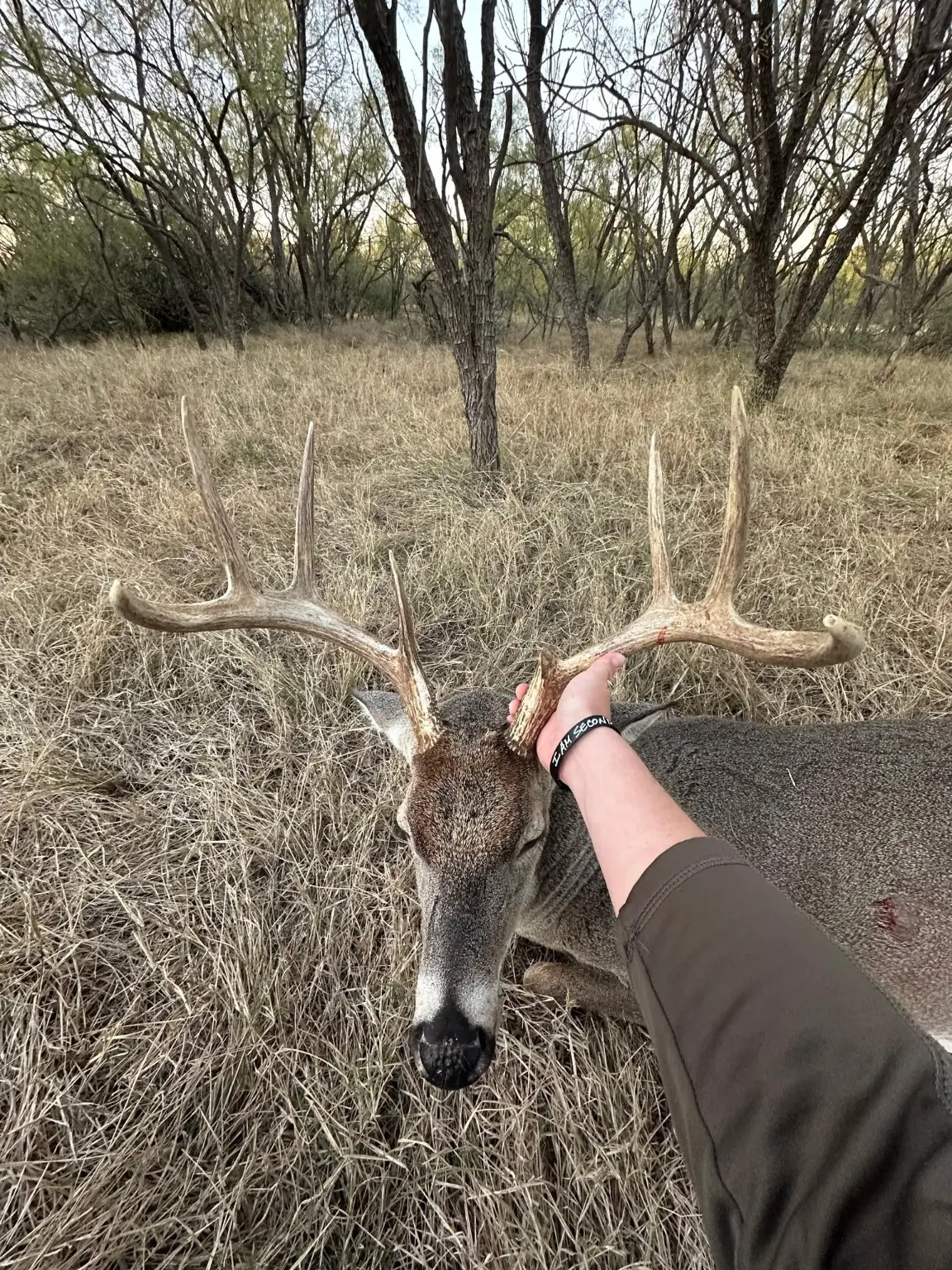 6525 Us Highway 180 E, Anson, TX 79501 - Image #1