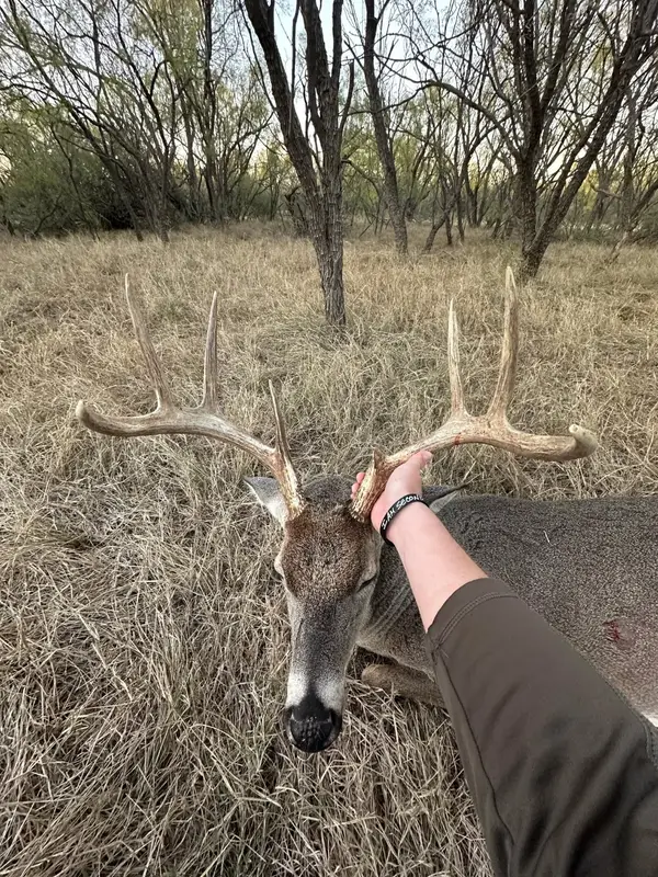 6525 Us Highway 180 E, Anson, TX 79501