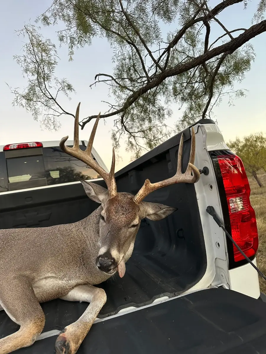 6525 Us Highway 180 E, Anson, TX 79501 - Image #2