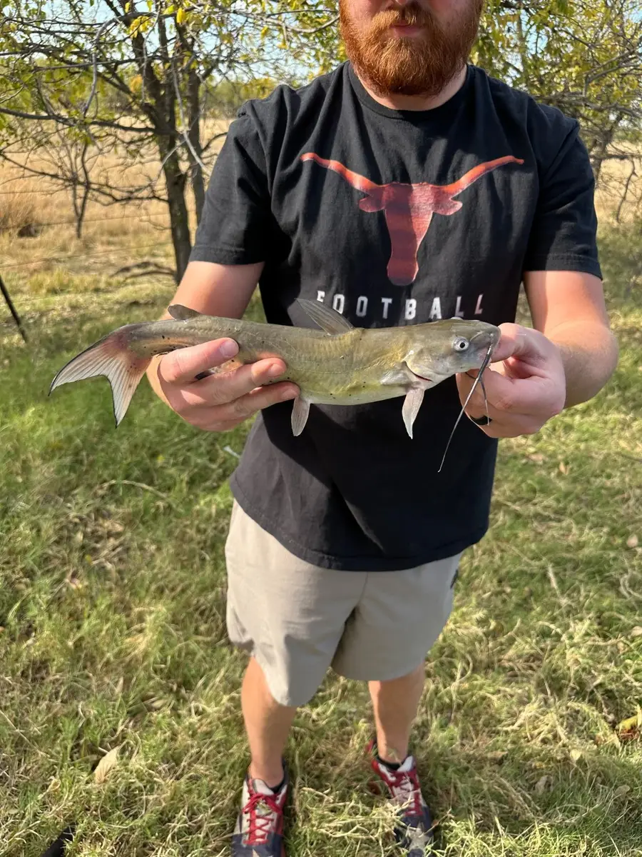 6525 Us Highway 180 E, Anson, TX 79501 - Image #3