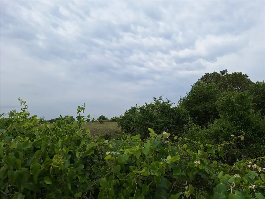 2735 Fm 45, Richland Springs, TX 76871 - Image #3