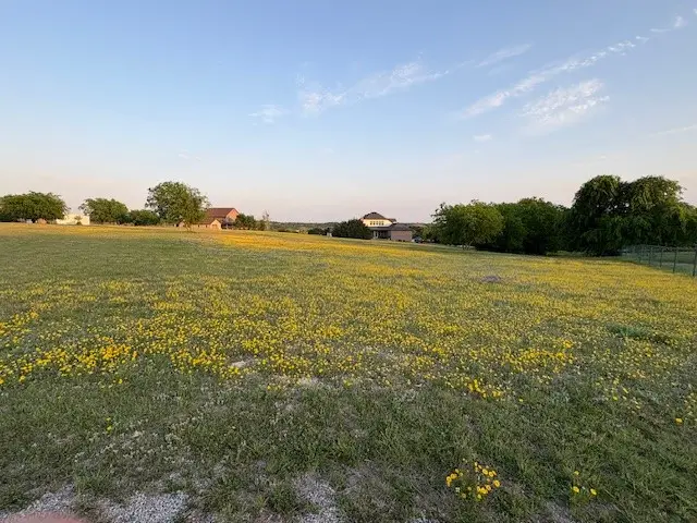 217 Pebble Ridge Court, Cresson, TX 76035 - Image #1