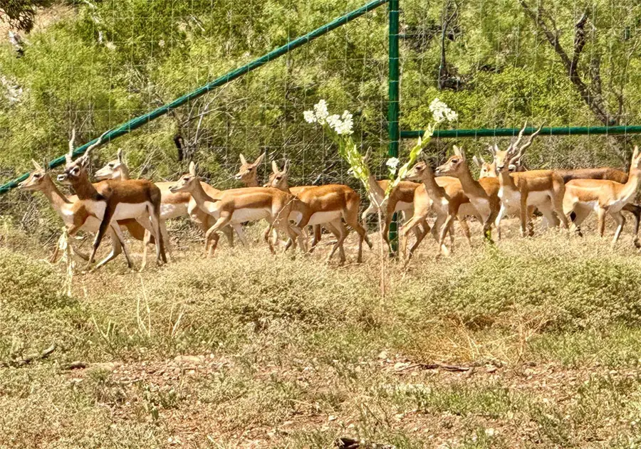 2200 Fm 2822, Rochelle, TX 76872 - Image #3