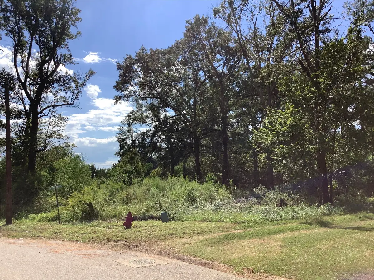 000 Park & Starks, Mansfield, LA 71052 - Image #1