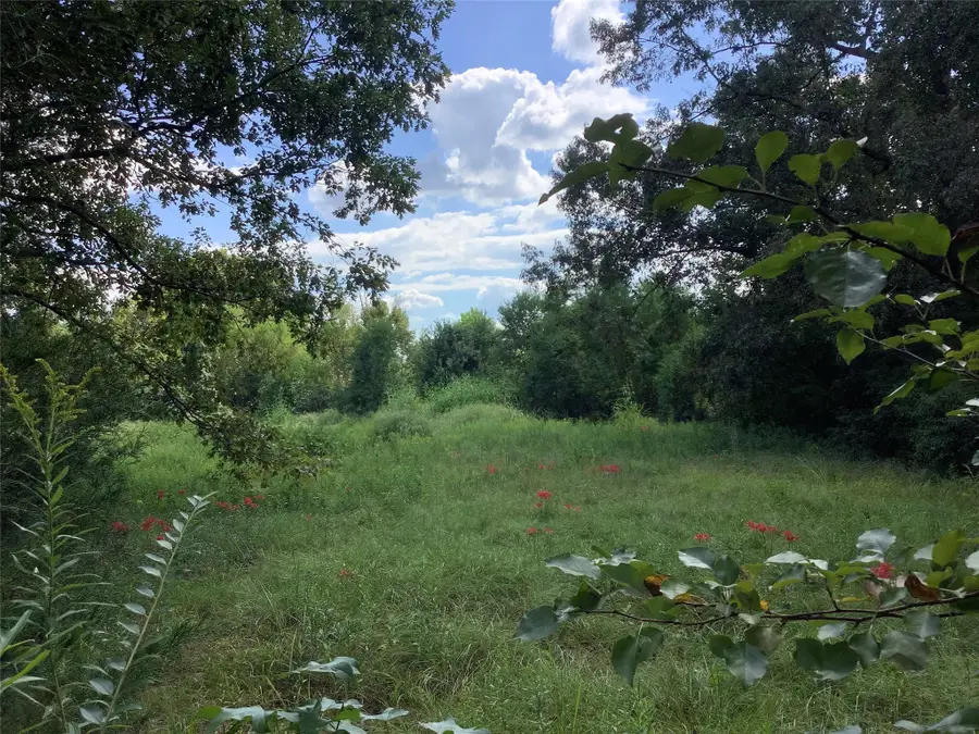 000 Park & Starks, Mansfield, LA 71052 - Image #2