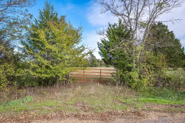 TBD Vz County Road 4503, Ben Wheeler, TX 75754