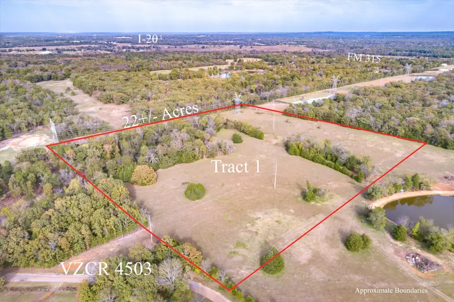 TBD Vz County Road 4503, Ben Wheeler, TX 75754 - Image #3