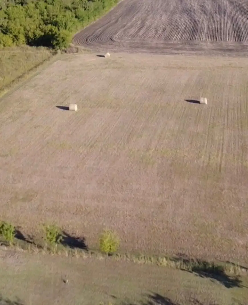 757 E Cottage Hill Parkway, McKinney, TX 75071 - Image #3