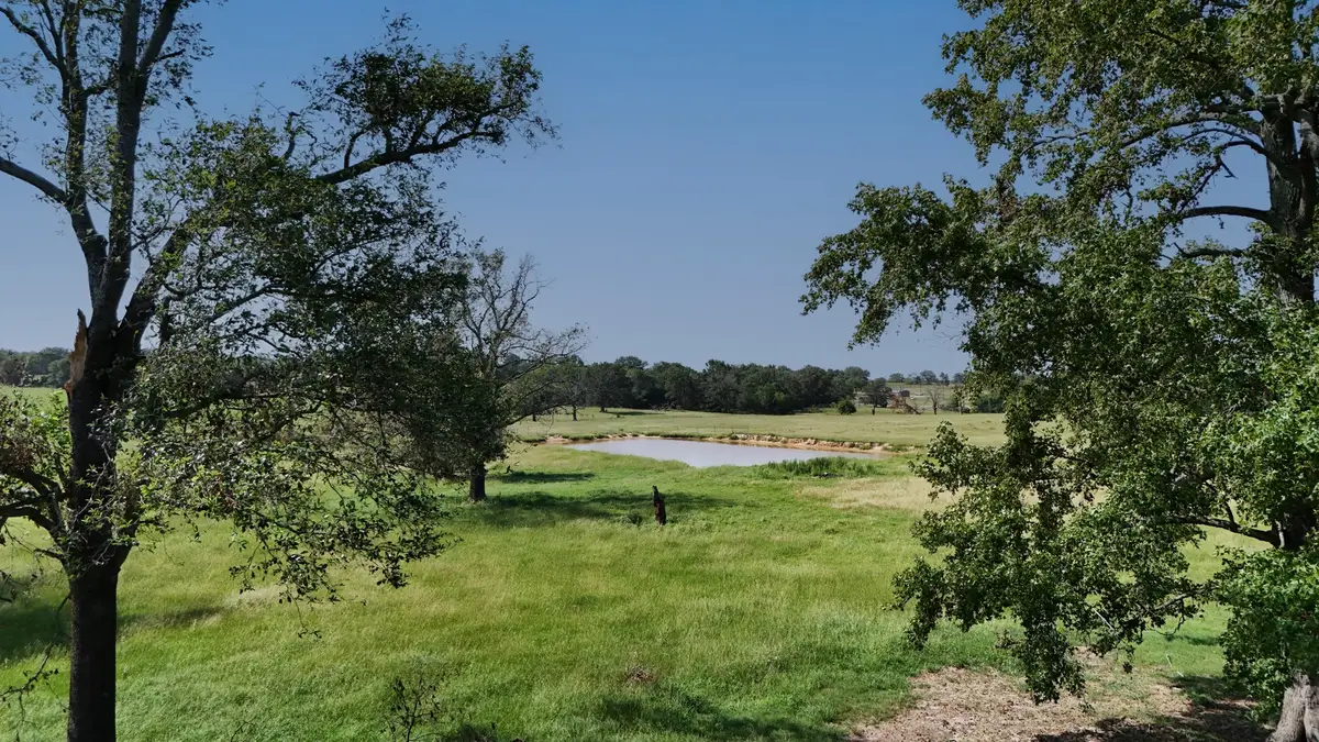 Tract 2 Vz Cr 4408, Ben Wheeler, TX 75754 - Image #1