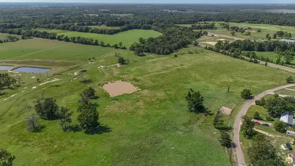 Tract 3 Vz Cr 4408, Ben Wheeler, TX 75754