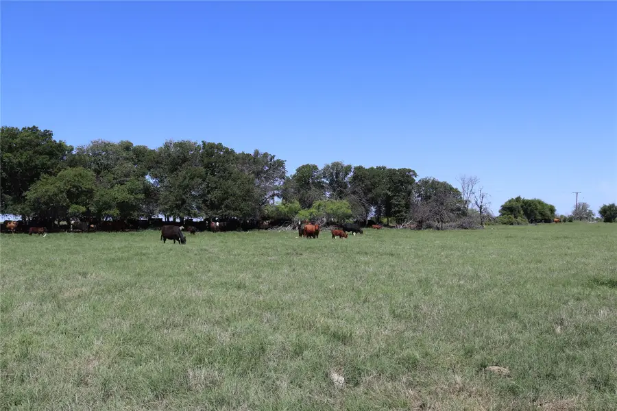 80 Acres North Deer Creek Rd, Henrietta, TX 76365 - Image #2
