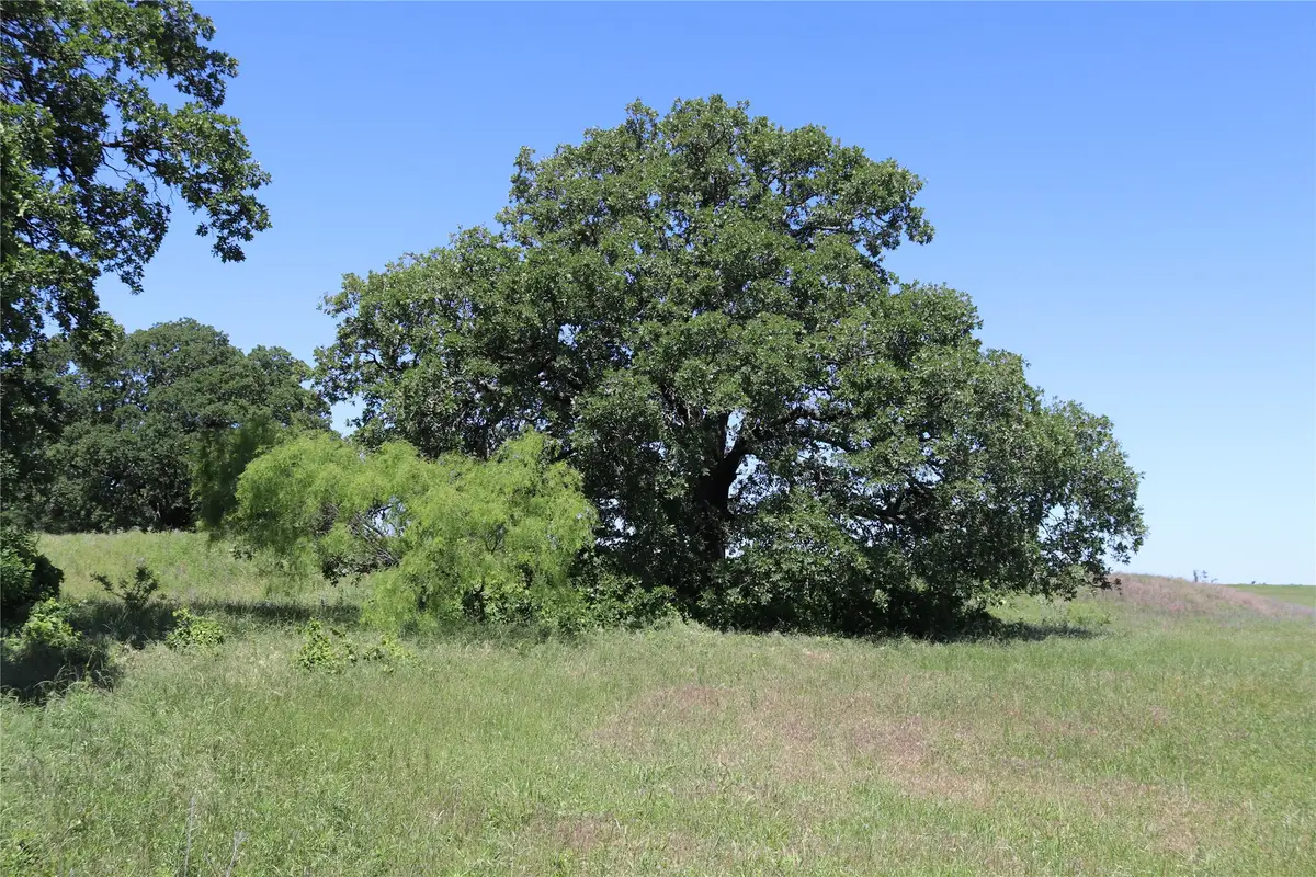 73 Acres West Deer Creek Rd, Henrietta, TX 76365 - Image #1