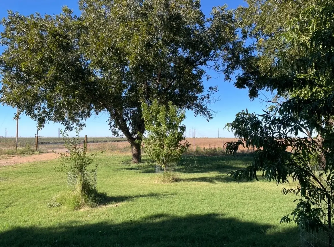 12567 County Road 4740, Munday, TX 76371 - Image #1