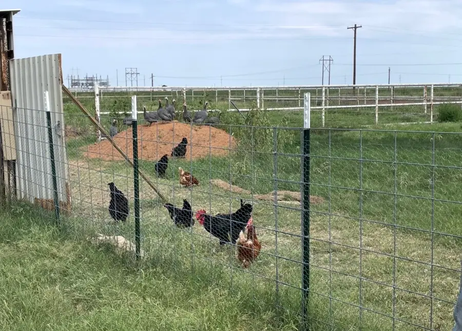 12567 County Road 4740, Munday, TX 76371 - Image #2