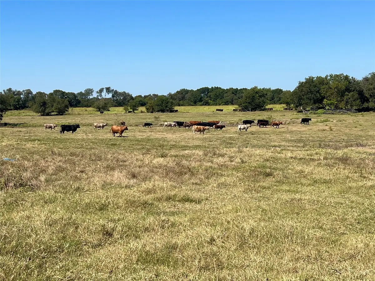 TBD 1368 acres Lowell Road, Milford, TX 76670 - Image #1