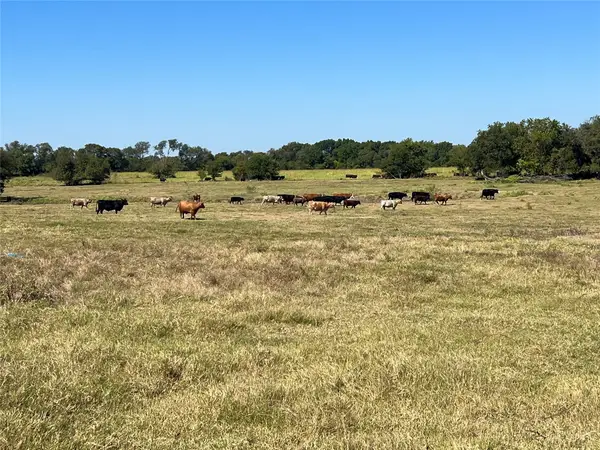 TBD 1368 acres Lowell Road, Milford, TX 76670