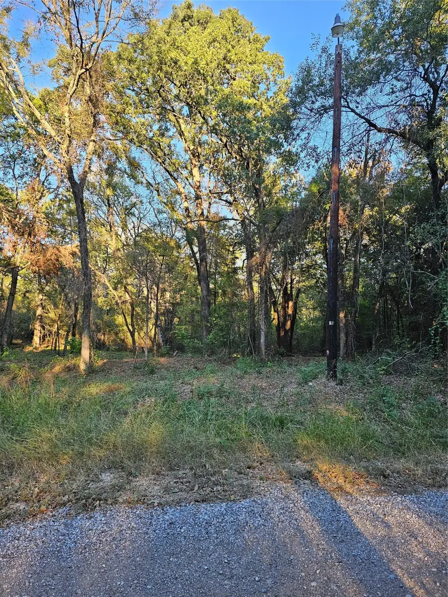 0 Ravenwood Drive, Trinidad, TX 75163 - Image #2