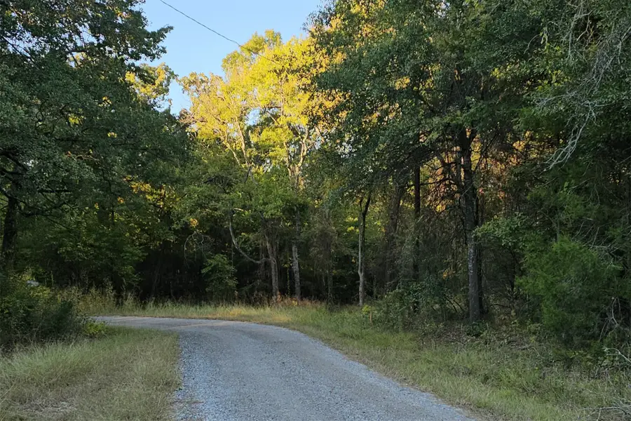 0 Ravenwood Drive, Trinidad, TX 75163 - Image #3