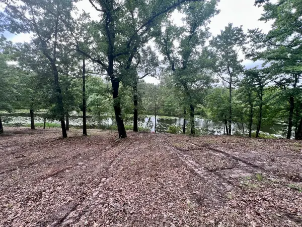 Lot 14 County Road 4801, Athens, TX 75752