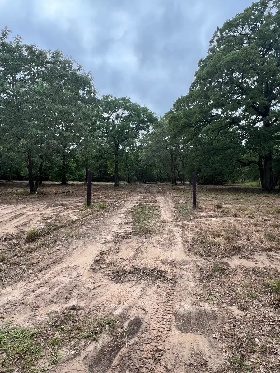 Lot 14 County Road 4801, Athens, TX 75752 - Image #2
