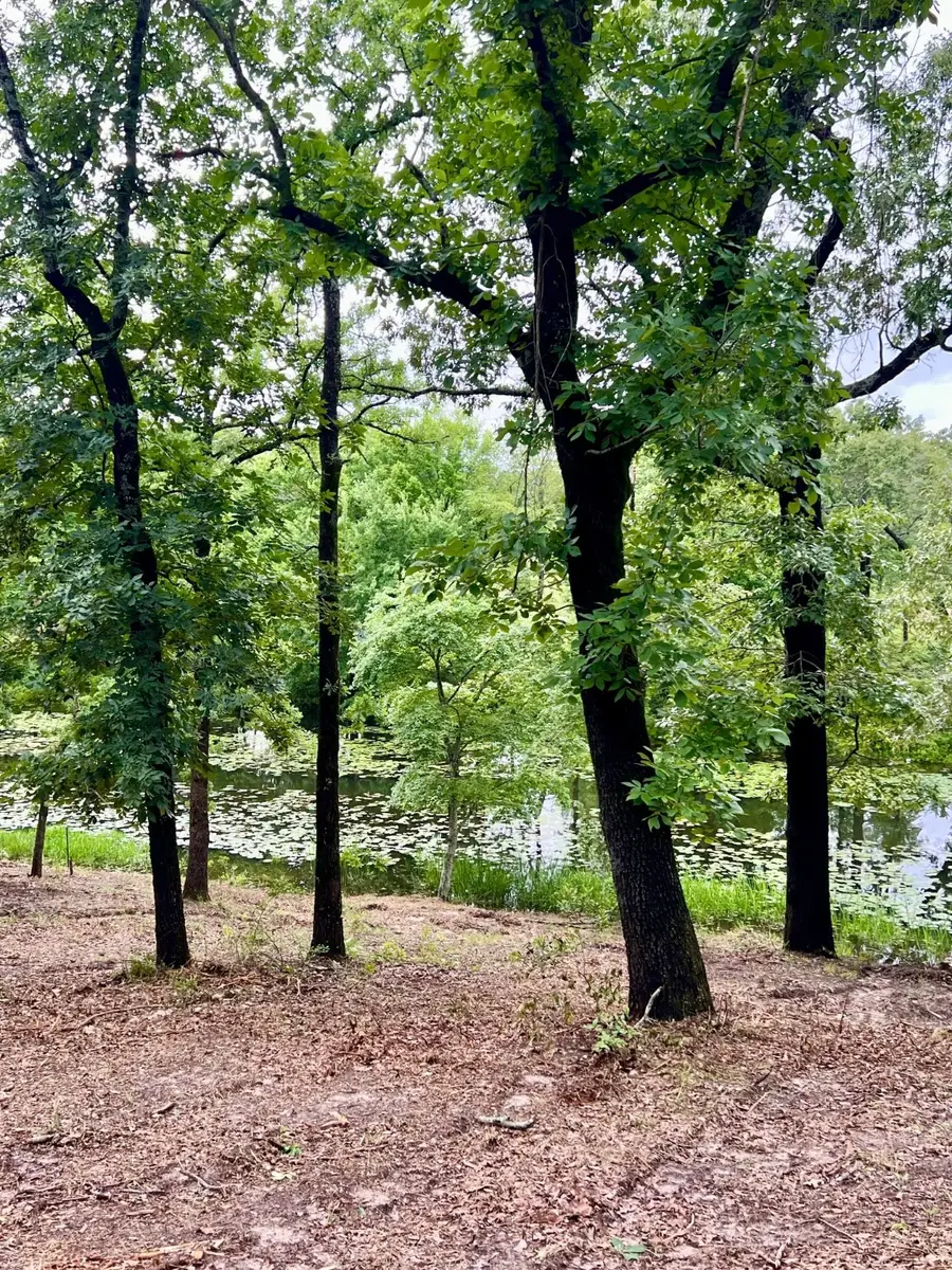Lot 14 County Road 4801, Athens, TX 75752 - Image #3