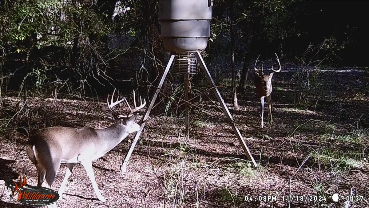 3061 Canyon Ranch Road, Palo Pinto, TX 76484 - Image #1