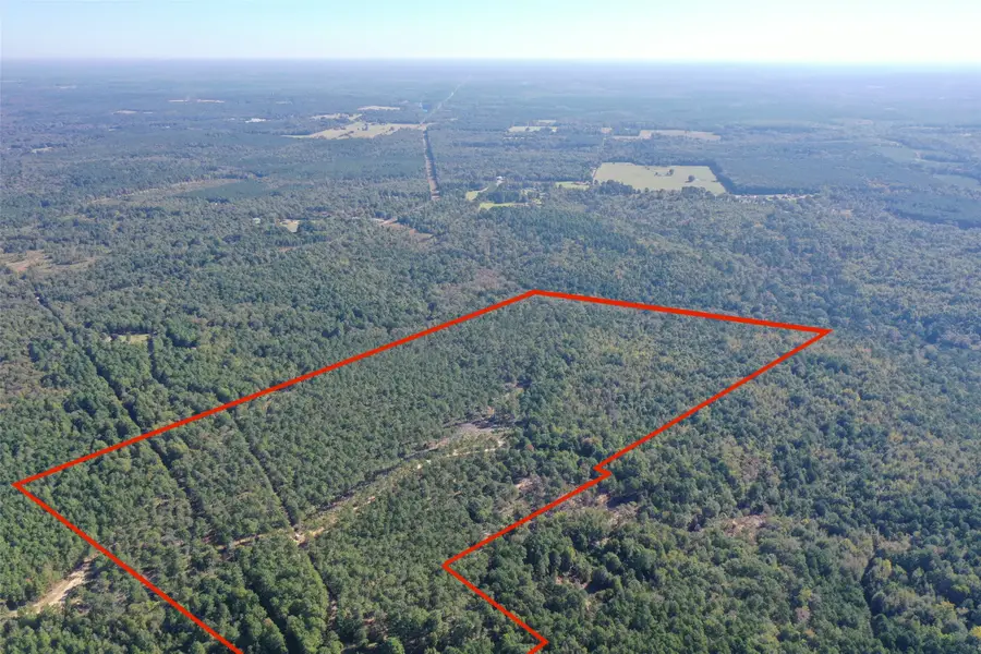 TBD Cr 1346, Linden, TX 75563 - Image #3