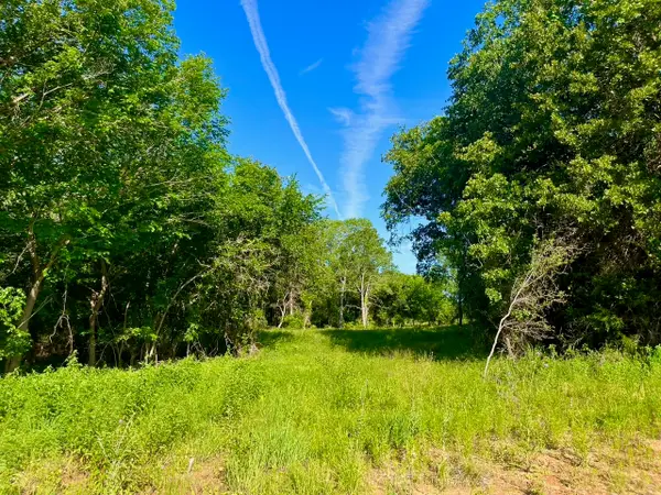 Lot 51 Wicklow Ct, Poolville, TX 76487