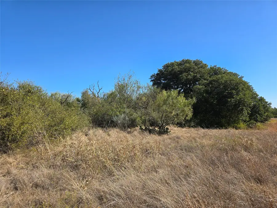 1343 County Road 188, Cross Plains, TX 76443 - Image #3